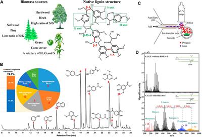 Thermochemical depolymerization of lignin: Process analysis with state-of-the-art soft ionization mass spectrometry